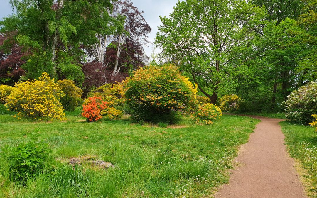 Impressionen vom Ohrbergpark