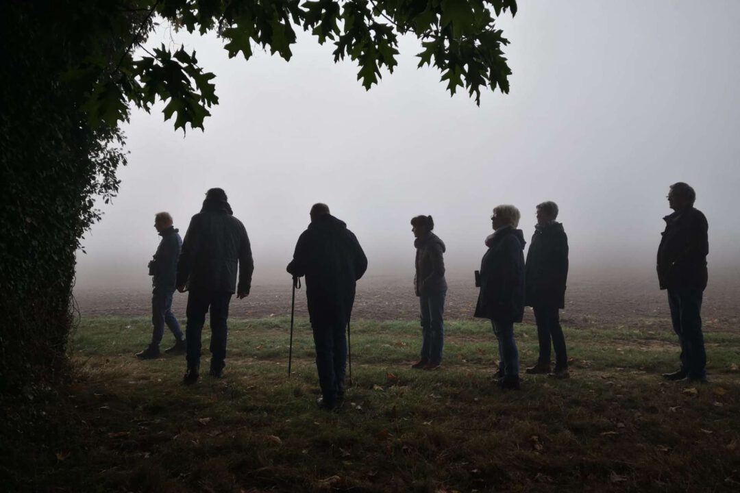 Vogelkundlicher Rundgang Teilnehmer im Nebel