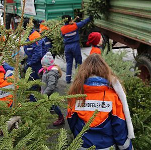 Aktion Tannenbaum