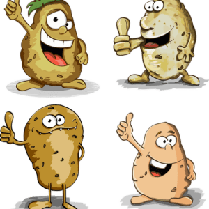 4 illustrierte Kartoffeln