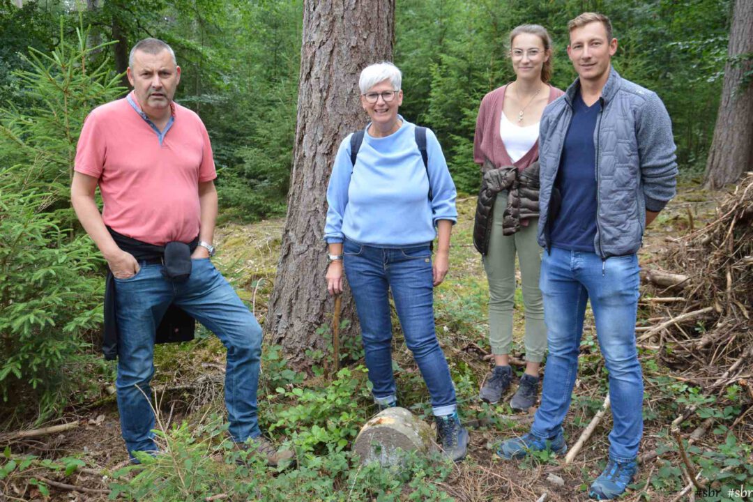 Steine Ersteigerer auf der Grenzbeziehung