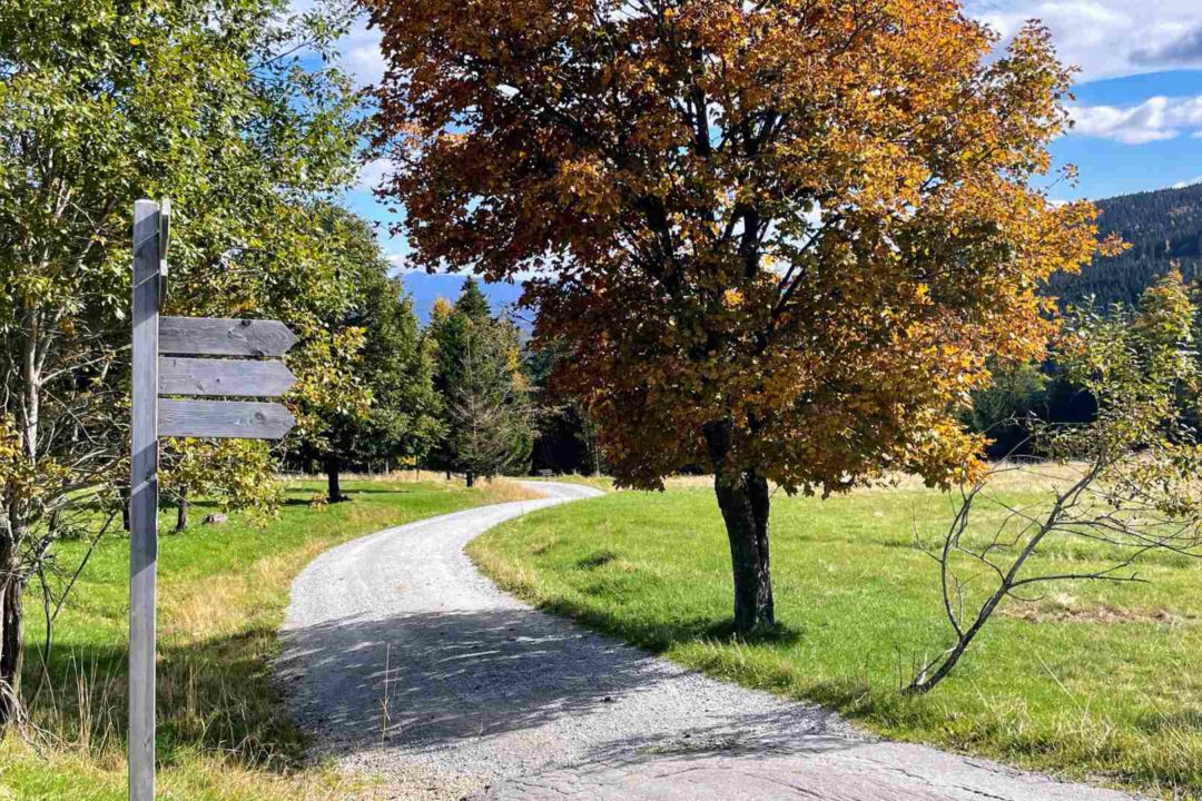 Fahrt nach Zwiesel Glaspyramide