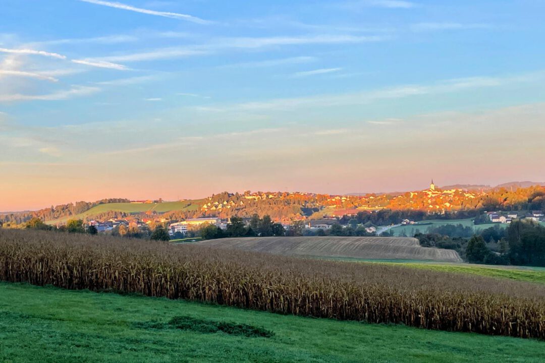 Büchlberger Aussichtsturm