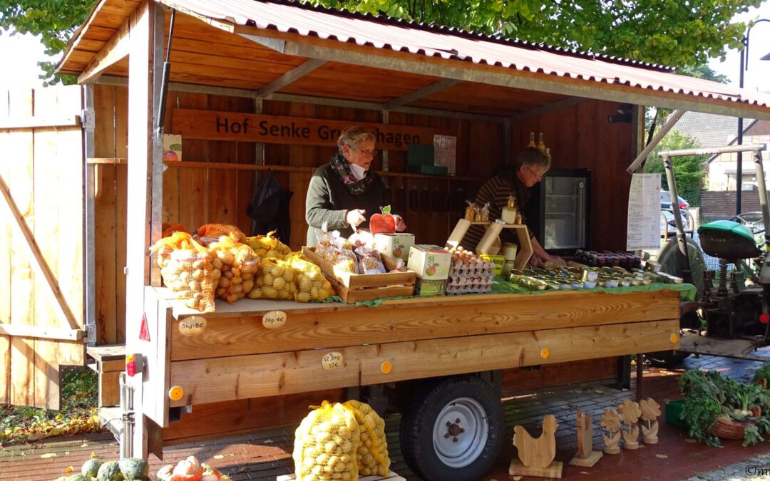 Kartoffelfest in Grupenhagen