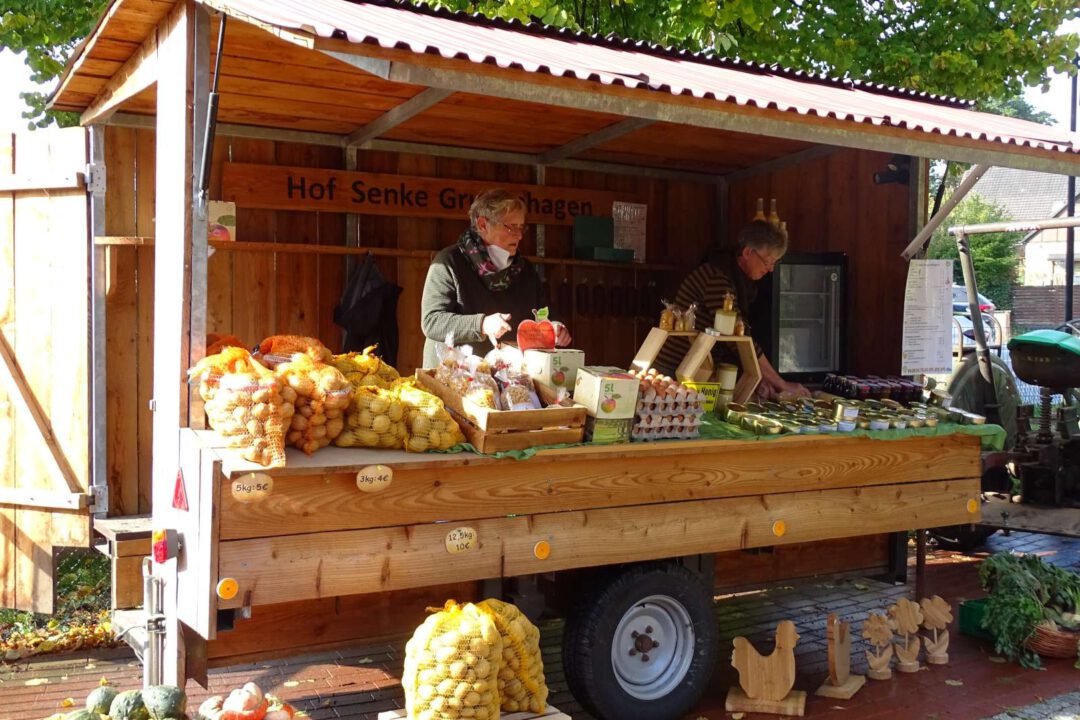 Kartoffelfest in Grupenhagen