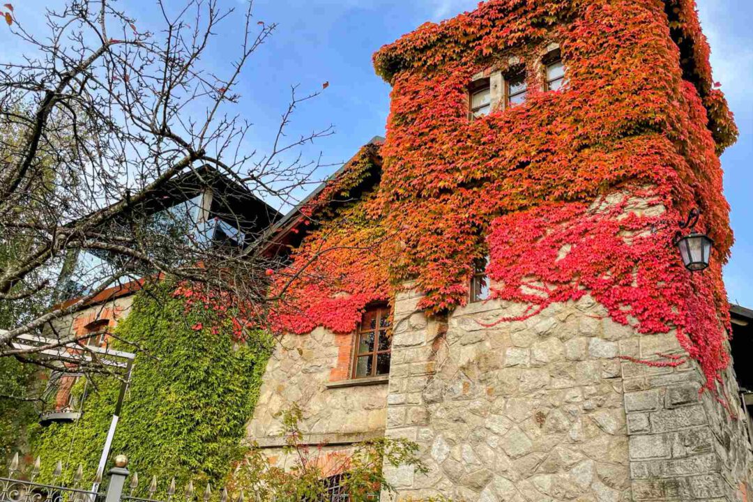 Büchlberger Aussichtsturm