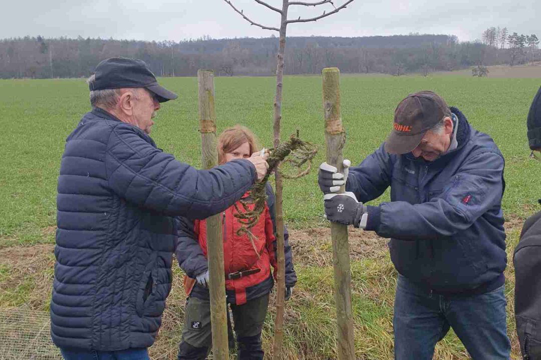 02-Baumschnittexkurs-web