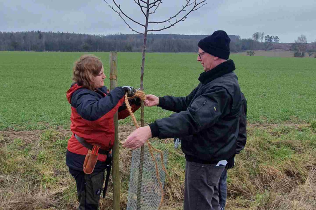 05-Baumschnittexkurs-web