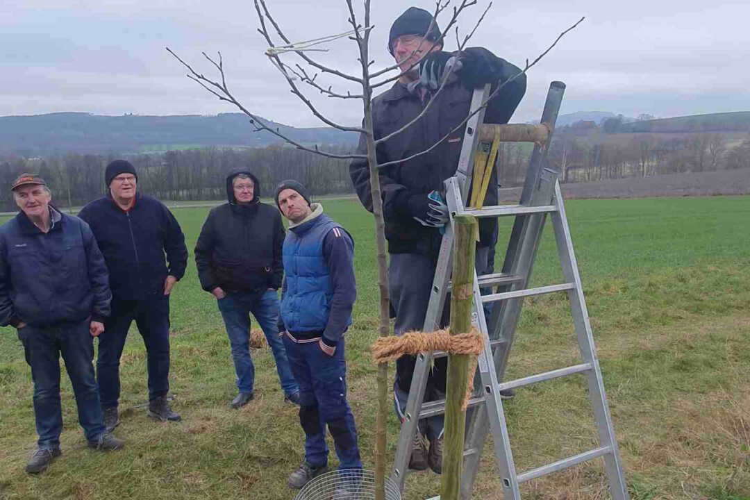 07-Baumschnittexkurs-web