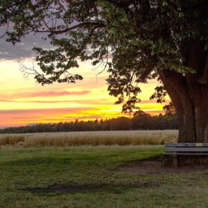 Sommeranfang Sonnenwende