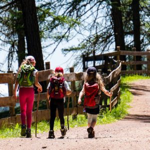 Wandern, Familienwanderung