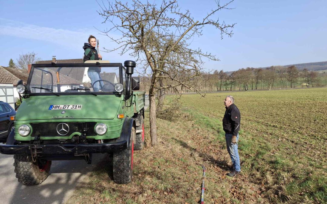 Baumschnittaktion 2026