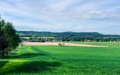 Unter dem Hauben