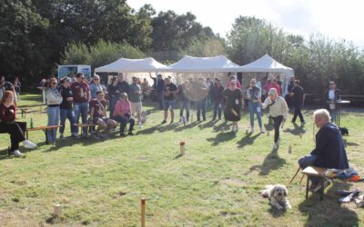 Kubb-Turnier